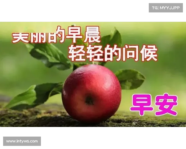 【早安滨州】10月3日 一分钟知天下 【早安滨州】10月3日 一分钟知天下